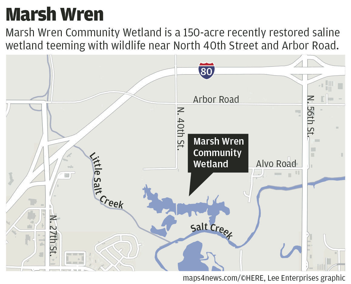Marsh Wren map